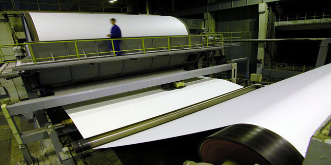 Сербська компанія шукає постачальників целюлозно-паперової сировини