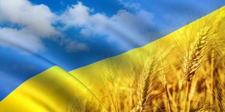 Бізнес визнав систему ТПП України лідером з підтримки експортерів!