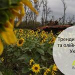 Вебінар «Ринок зернових. Ризики та тренди поточного періоду». Відеозапис