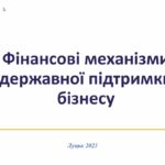 Підприємцям розповіли про інструменти державної підтримки малого та середнього бізнесу