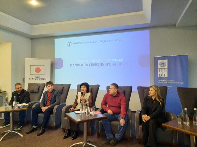 Zaporizhzhia CCI: dialogue between business, government and communities