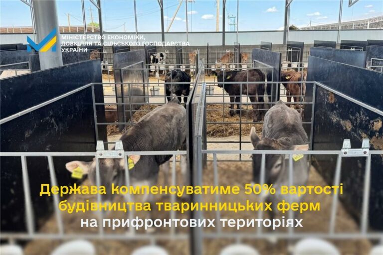 Держава компенсуватиме 50% вартості будівництва тваринницьких ферм на прифронтових територіях