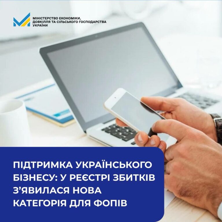 У Реєстрі збитків з’явилася нова категорія для ФОПів