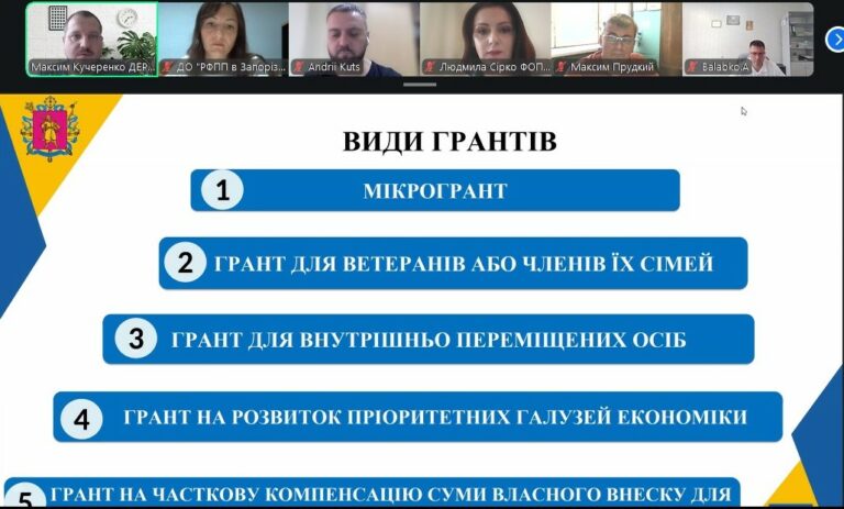 Грантова підтримка запорізького бізнесу: перші результати обласної програми та поради для підприємців